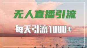 抖音快手视频号全平台通用,无人直播引流法,超暴力引流1000+高质量精准创业粉【揭秘】-泰戈创艺资源库