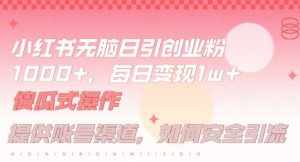 小红书无脑每日引流创业粉500+,小白每天只花半小时,躺赚长尾收益【揭秘】-泰戈创艺资源库
