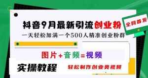 抖音9月最新引流创业粉,轻松制作创业类视频,一天轻松加满一个500人精准创业粉群【揭秘】-泰戈创艺资源库