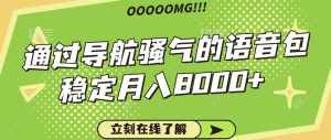 骚气的导航语音包，自用的同时还可以作为项目操作，月入8000+-泰戈创艺资源库