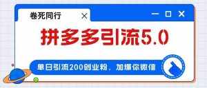 （12533期）拼多多引流付费创业粉，单日引流200+，日入4000+-泰戈创艺资源库