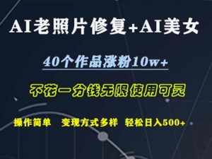 （12489期）AI老照片修复+AI美女玩发  40个作品涨粉10w+  不花一分钱使用可灵  操…-泰戈创艺资源库