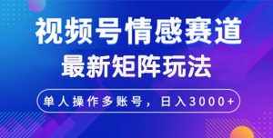 （12609期）视频号创作者分成情感赛道最新矩阵玩法日入3000+-泰戈创艺资源库