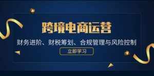 （12592期）跨境电商运营：财务进阶、财税筹划、合规管理与风险控制-泰戈创艺资源库