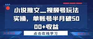 小说推文—视频号玩法实操,单账号半月破5000 收益-泰戈创艺资源库
