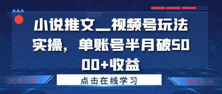 小说推文—视频号玩法实操，单账号半月破5000 收益-泰戈创艺资源库