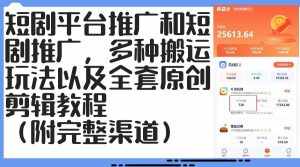 （12406期）短剧平台推广和短剧推广，多种搬运玩法以及全套原创剪辑教程（附完整渠…-泰戈创艺资源库