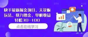 快手最新掘金项目,天花板玩法,暴力撸金,单机收益轻松30-100-泰戈创艺资源库