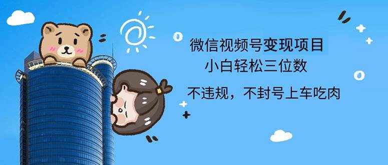 （12660期）2024最新微信视频号，0撸项目，自己玩，小白轻松日入三位数-泰戈创艺资源库