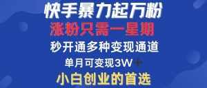 (12651期)快手暴力起万粉,涨粉只需一星期,多种变现模式,直接秒开万合,小白创…-泰戈创艺资源库