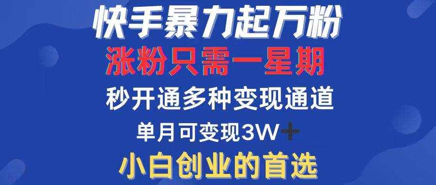（12651期）快手暴力起万粉，涨粉只需一星期，多种变现模式，直接秒开万合，小白创…-泰戈创艺资源库
