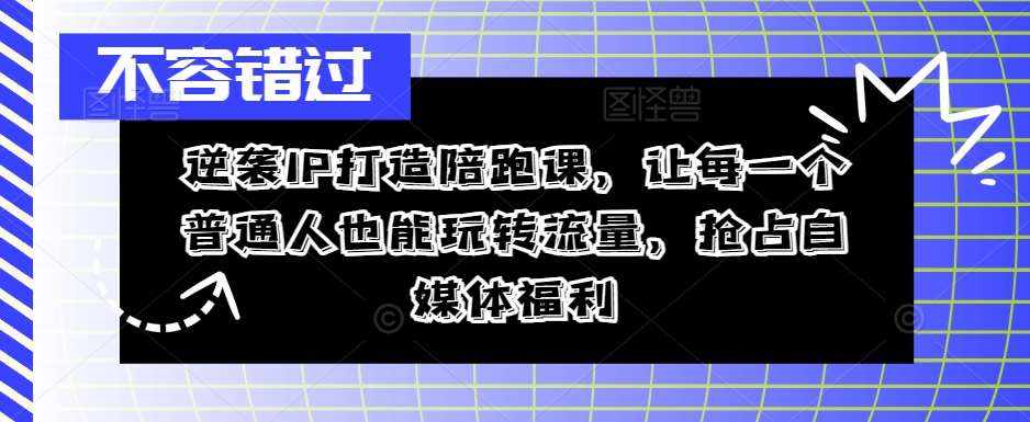逆袭IP打造陪跑课，让每一个普通人也能玩转流量，抢占自媒体福利-泰戈创艺资源库