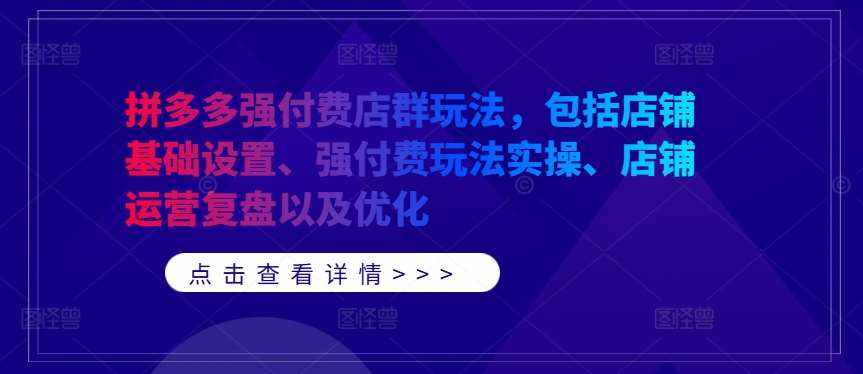 拼多多强付费店群玩法，包括店铺基础设置、强付费玩法实操、店铺运营复盘以及优化-泰戈创艺资源库