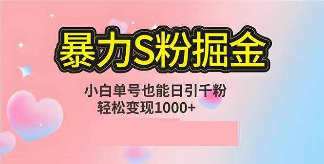 （12778期）单人单机日引千粉，变现1000+，S粉流量掘金计划攻略-泰戈创艺资源库