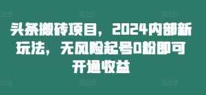 头条搬砖项目,2024内部新玩法,无风险起号0粉即可开通收益-泰戈创艺资源库