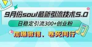(12772期)9月份soul最新引流技术5.0,日稳定引流300+创业粉,加爆微信,卷死同行-泰戈创艺资源库