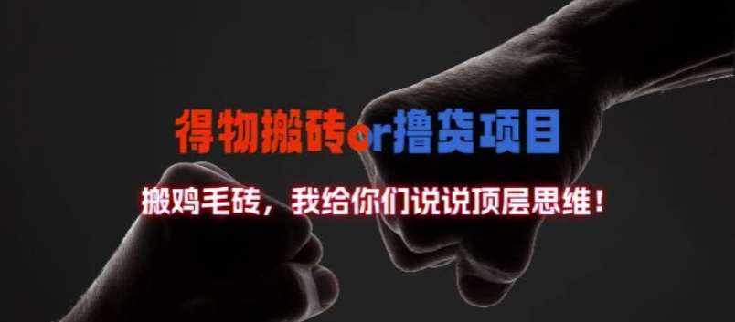 得物搬砖撸货项目?掰下数据，我给你们说说顶层思维【揭秘】-泰戈创艺资源库