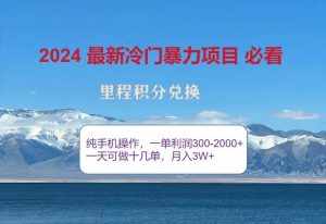 2024惊爆冷门暴利，里程积分最新玩法，高爆发期，一单300+—2000+-泰戈创艺资源库