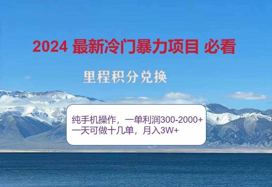 2024惊爆冷门暴利，里程积分最新玩法，高爆发期，一单300+—2000+-泰戈创艺资源库
