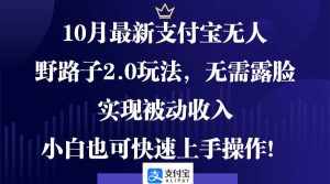 （12824期）10月最新支付宝无人野路子2.0玩法，无需露脸，实现被动收入，小白也可…-泰戈创艺资源库