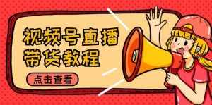 视频号直播带货教程：选品思路与话术拆解/掌握多种带货套路/提升直播效果-泰戈创艺资源库