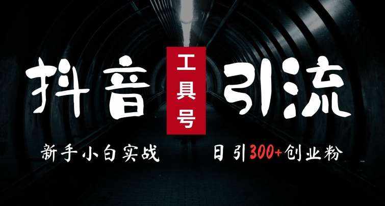 2024最新抖音工具号引流玩法，高效日引300+创业粉，当天变现5k，小白也可成为实战高手-泰戈创艺资源库