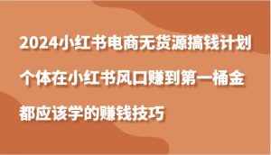2024小红书电商无货源搞钱计划，个体在小红书风口赚到第一桶金应该学的赚钱技巧-泰戈创艺资源库