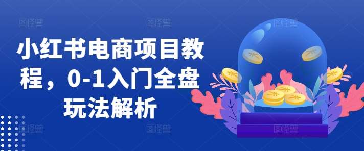 小红书电商项目教程，0-1入门全盘玩法解析-泰戈创艺资源库