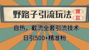 抖音小红书视频号全平台引流打法，全自动引流日引2000+精准客户-泰戈创艺资源库