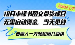 (13005期)10月份小绿书图文带货项目 无需启动资金 当天见效 普通人一天轻松搞几百块-泰戈创艺资源库