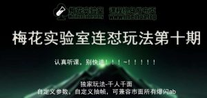 梅花实验室社群专享课视频号连怼玩法第十期课程+第二部分-FF助手全新高自由万能爆闪AB处理-泰戈创艺资源库