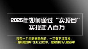（13468期）2025年如何通过“卖项目”实现年入百万，做网赚必看！！-泰戈创艺资源库
