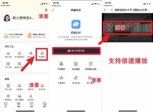 百度网盘手机端免会员倍速播放视频——支持安卓+苹果手机-泰戈创艺资源库