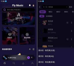Fly音乐-plus,干净免费的付费音乐下载听歌软件,支持下载无损-泰戈创艺资源库