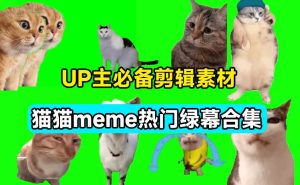 UP主必备!B站某音热门绿幕视频素材,180套猫猫meme动态绿幕合集包,含背景图BGM,含使用教程-泰戈创艺资源库