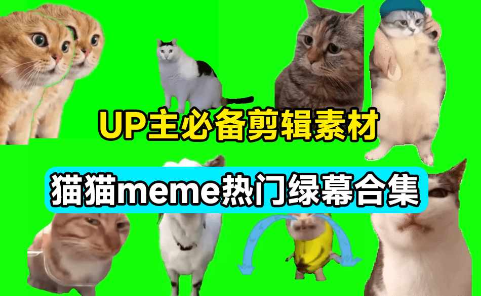 UP主必备！B站某音热门绿幕视频素材，180套猫猫meme动态绿幕合集包，含背景图BGM，含使用教程-泰戈创艺资源库