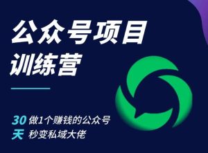 公众号项目训练营,30天做1个赚钱的公众号,秒变私域大佬-泰戈创艺资源库