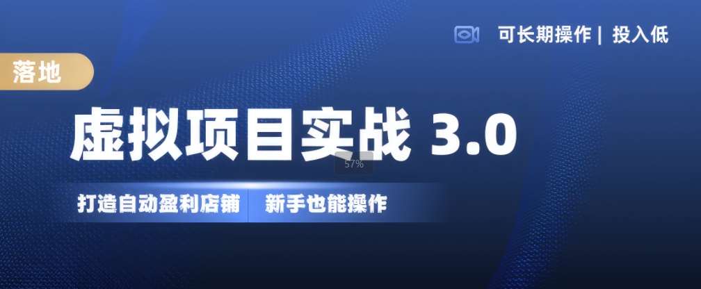虚拟项目实战3.0，打造自动盈利店铺，可长期操作投入低，新手也能操作-泰戈创艺资源库