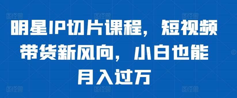 明星IP切片课程，短视频带货新风向，小白也能月入过万-泰戈创艺资源库