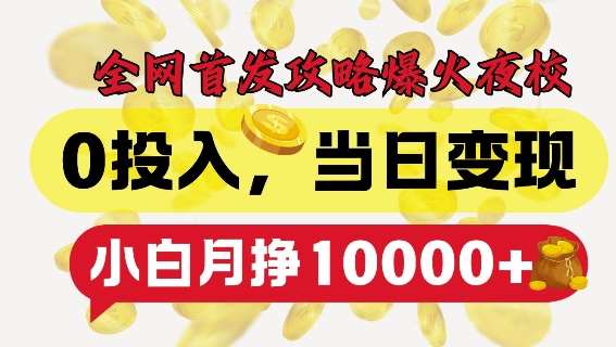 全网首发爆火夜校，0投入，当日变现，小白轻松月入1w+【揭秘】-泰戈创艺资源库