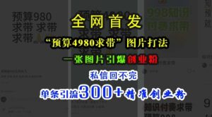 小红书“预算4980带我飞”图片打法，一张图片引爆创业粉，私信回不完，单条引流300+精准创业粉-泰戈创艺资源库