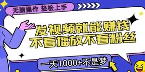 (13283期)无脑操作,只要发视频就能赚钱?不看播放不看粉丝,小白轻松上手,一天…-泰戈创艺资源库
