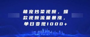 萌宠炒菜视频，爆款视频流量暴涨，单日变现1k-泰戈创艺资源库