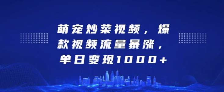 萌宠炒菜视频，爆款视频流量暴涨，单日变现1k-泰戈创艺资源库