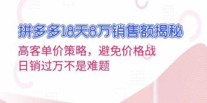 (13383期)拼多多18天8万销售额揭秘:高客单价策略,避免价格战,日销过万不是难题-泰戈创艺资源库