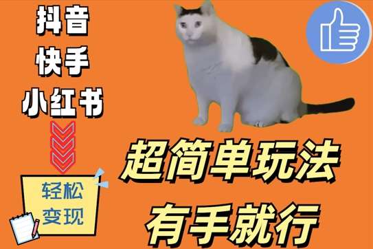 超简单玩法，有手就行，靠猫咪视频日入500+【揭秘】-泰戈创艺资源库