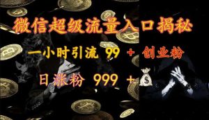 微信超级流量入口揭秘:一小时引流 99 + 创业粉,日涨粉 999 +-泰戈创艺资源库