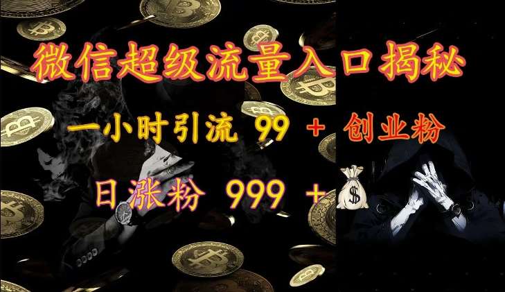 微信超级流量入口揭秘：一小时引流 99 + 创业粉，日涨粉 999 +-泰戈创艺资源库