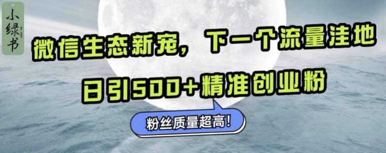 微信生态新宠小绿书：下一个流量洼地，日引500+精准创业粉，粉丝质量超高-泰戈创艺资源库