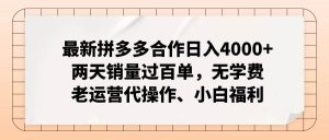 (12869期)拼多多最新合作日入4000+两天销量过百单,无学费、老运营代操作、小白福利-泰戈创艺资源库
